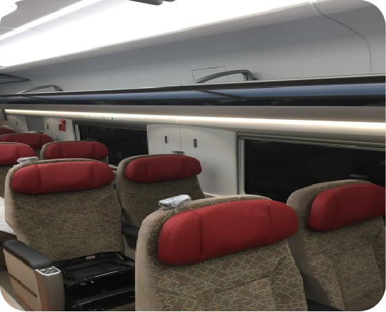 Ceiling  Roof  of  railway